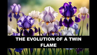 The Evolution of a Twin Flame- Divine Feminine Guidance #twinflames #spiritualawakening