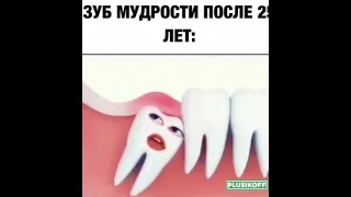 Зуб мудрости после 25 лет 😂 «Суету навести охота»😂😂