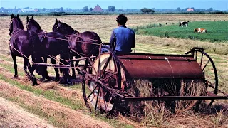 de Natuurboer Hessel Bouma