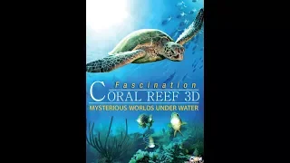 Official Trailer - FASCINATION CORAL REEF 3D - MYSTERIOUS WORLDS UNDER WATER (2012)