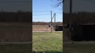 Калининградская обл., Зеленоградский городской округ, п. Куликово, ул. Солнечная, 4