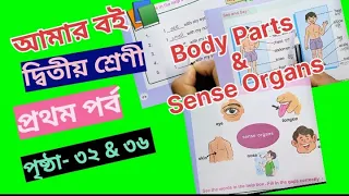 Amar Boi class 2 part 1 page 32 & 36 / our body parts and sense organ @primaryschooleducation34