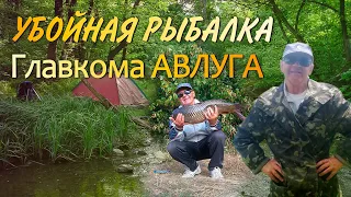 💥 Убойная рыбалка ГЛАВКОМА АВЛУГА Дардуки В.А. под шуточную песню Вилли Токарева "Рыбацкая"