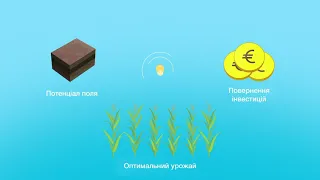 Оптимальна густота посіву кукурудзи