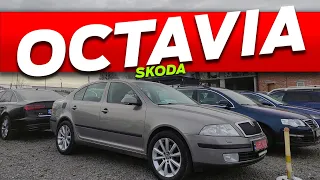 Перевірка ЛФП Skoda Octavia 1.8 TSi 😍 діагностика кузов товщина ЛФП огляд салон багажник автопідбір