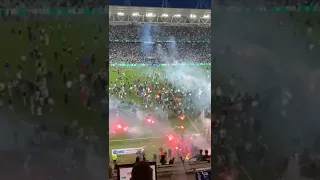 Saint-Etienne fans after the relegation of his team to the second division 😲😳😧