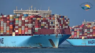 2 ULTRA LARGE CONTAINER SHIPS of Maersk Line met at the Port of ROTTERDAM - Shipspotting 2021