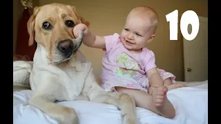 FUNNY KID Video 10 Kids & Dogs / Дети и собаки лучшие друзья, собаки няньки - веселая подборка