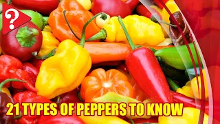 21 Types of Peppers to Know