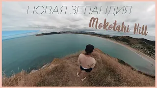Mokotahi Hill, Махия, Новая Зеландия | Снято на Insta360 ONE X2