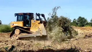 Nice!! bulldozer Cat pushing cleaning forest land actively