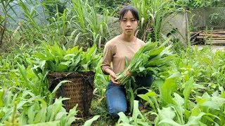 The single girl harvest vegetables to sell at the market and buys deo seeds at the garden - orphans