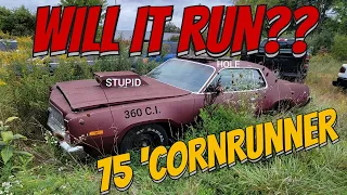 ABANDONED ROADRUNNER! Will this MOPAR RUN after 20 YEARS?! Cop engine?