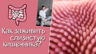 Как заживить слизистую кишечника? Питание, добавки.