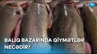 Məhsul çox, qiymətlər isə bahadır - Balıq bazarından REPORTAJ