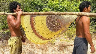 Primitive Technology: Harvest Beehive and Honey by Brave Bushmen शहद कैसे छुड़ाए वीडियो