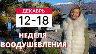 ГОРОСКОП НА НЕДЕЛЮ С 12 ПО 18 ДЕКАБРЯ ОТ VENUSLIFE