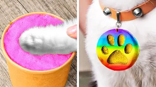 Cuidado de Mascotas Simplificado: Trucos Geniales para Mascotas Felices 🐕🐈✨