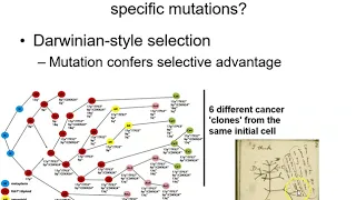 Genetics of Cancer part 1 multi-hit models and hereditary cancers