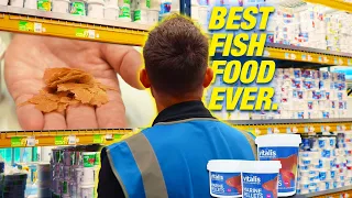 We Are Bringing The BEST FISH FOOD TO AMERICA!