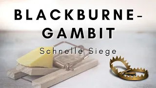 Matt in 7 Zügen gegen Italienisch mit dem Blackburne-Gambit | Brutale Falle