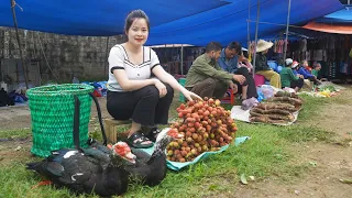 THANH Harvesting Lychees, HIEN bring lychee goes to market sell, Buy fruit tree seeds