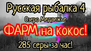 РР4. Озеро Медвежье. ФАРМ на Кокос! Амур Черный, Белый, Карп Зеркальный, Чешуйчатый и караси!