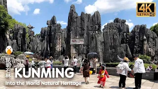 Stone Forest, Kunming, Yunnan🇨🇳 China's Unbelievable Natural Wonders (4K HDR)