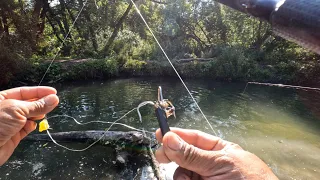 Fishing Coho Salmon , Ontario tributaries .  I snag a 3 inches treble hook  on Salmon .