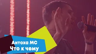 Антоха MC - Что к чему (LIVE Брать живьём - о2тв)