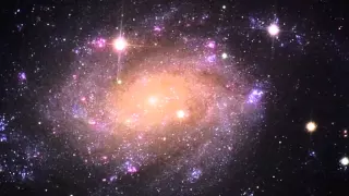 Susfractor - NGC 300