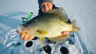 We Caught Em'! Using Livescope To Find Crappies On Ice