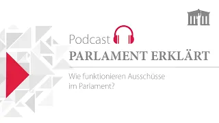 Wie funktionieren Ausschüsse im Parlament? (Podcast Folge 15)