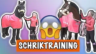 SCHRIK TRAINING MET EVE EN VITO! | PaardenpraatTV