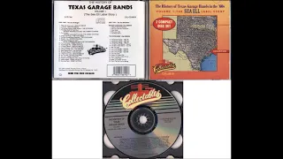 The History Of Texas Garage Bands In The '60s Volume 1 CD1