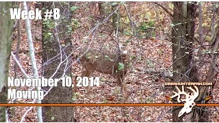 2014 New York Bow Kill