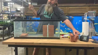 How to Baffle a Glass Aquarium Sump