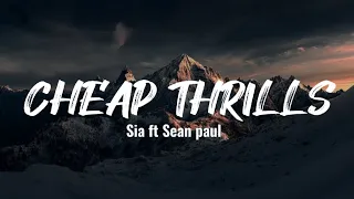 Cheap Thrills (lyrics video) | Sia ft Sean paul |come on come on |i don't need no money | tiktok