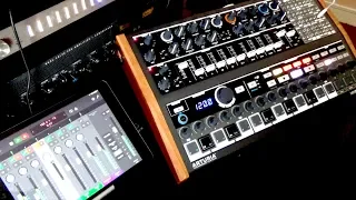 Desert Ghost - Ambient Dub Session With Endless Tape Loop, Maschine and Arturia Minibrute 2S