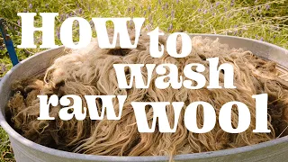 How to wash raw wool