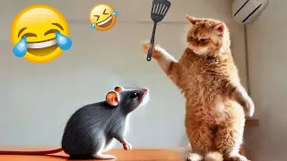 YOU LAUGH YOU LOSE😹Best Funny Animals Video 2024😻🐶Part 11