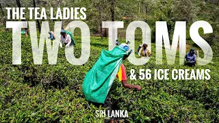 Ep 5 | The Tea Ladies, Two Toms, and 56 Ice Creams - Nuwara Eliya, Sri Lanka