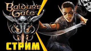 Расслабленно побродить, пиная кубик 🙃 Baldur's Gate 3 (часть 2)