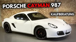 Porsche Cayman 987 Jetzt Kaufen? - Aktuelle Kosten und Infos