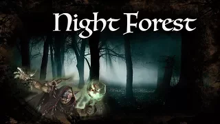 D&D Ambience - Night Forest