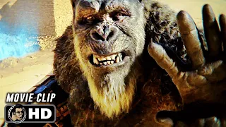 Egypt Fight Scene | GODZILLA X KONG THE NEW EMPIRE (2024) Sci-Fi, Movie CLIP HD