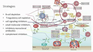 OCU07 05   Section VI Medical Advances That May Put the Orbital Surgeon Out of Business   Monoclonal