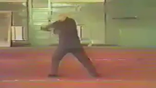 陳氏太極拳　陳発科高徒　洪均生 Chen style Taichi