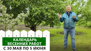 Успейте до конца весны! Садовые работы в мае и начале июня