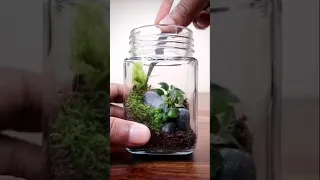 Make a miniature terrarium with me #shorts